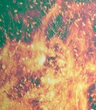 RECONNAÎTRE LES POUSSÉES DE PPG